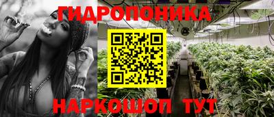 стаф Будённовск