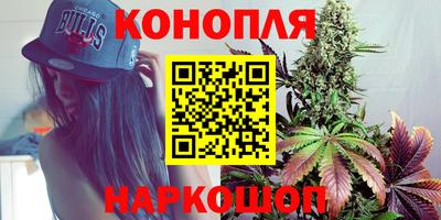 стаф Будённовск